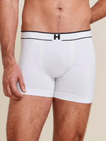 cueca